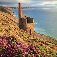 Buy canvas prints of Summer Evening (Wheal Coates)  by Andrew Ray