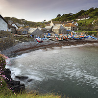 Buy canvas prints of Spring  at Cadgwith by Andrew Ray