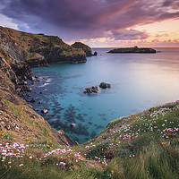 Buy canvas prints of Thrift at Sunset (Mullion Cove) by Andrew Ray