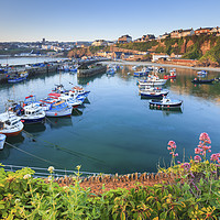 Buy canvas prints of Spring at Newquay Harbour by Andrew Ray