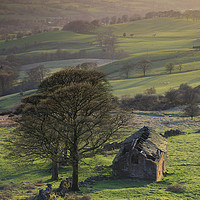 Buy canvas prints of Evening Light at Roach End Barn by Andrew Ray