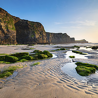 Buy canvas prints of Cliffs at Whipsiderry Beach by Andrew Ray