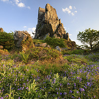 Buy canvas prints of Spring at Roche Rock by Andrew Ray