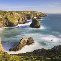 Buy canvas prints of Thrift and Kidney Vetch at the Bedruthan Steps by Andrew Ray