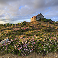 Buy canvas prints of Tywarnhayle crib hut by Andrew Ray
