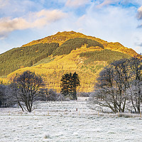 Buy canvas prints of Frosty morning in Glen Goil by Andrew Ray