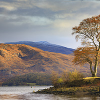 Buy canvas prints of Morning light (Taynuilt) by Andrew Ray