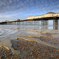 Buy canvas prints of Morning light on Palace Pier (Brighton) by Andrew Ray
