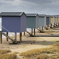 Buy canvas prints of Osea Beach Huts (Blackwater Estuary) by Andrew Ray