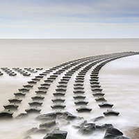 Buy canvas prints of Cobbolds Point Groynes (Felixstowe) by Andrew Ray