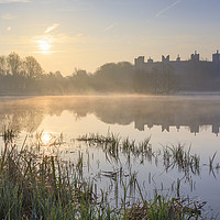 Buy canvas prints of Morning at Framlingham Castle by Andrew Ray