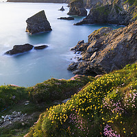 Buy canvas prints of Spring light (Bedruthan Steps by Andrew Ray