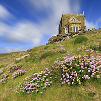 Buy canvas prints of Thrift at Doyden Castle (Port Quin) by Andrew Ray
