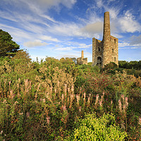 Buy canvas prints of Late summer at Wheal Peevor by Andrew Ray