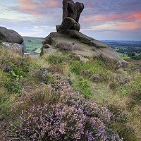 Buy canvas prints of Heather at sunrise (Ramshaw Rocks) by Andrew Ray