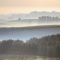 Buy canvas prints of Trees in the mist (Peak District) by Andrew Ray