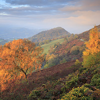 Buy canvas prints of Castell Dinas Brân from the Panorama Walk by Andrew Ray