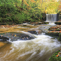 Buy canvas prints of Autumn colour at Nant Mill Waterfall by Andrew Ray