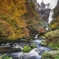 Buy canvas prints of Autumn at Pistyll Rhaeadr by Andrew Ray
