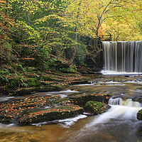 Buy canvas prints of Waterfall at Nant Mill by Andrew Ray