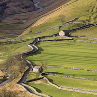 Buy canvas prints of Arncliffe Barns by Andrew Ray