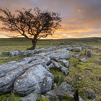 Buy canvas prints of Lone tree at sunset (Winskill Stones) by Andrew Ray