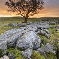 Buy canvas prints of Winskill Stones sunrise by Andrew Ray