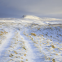 Buy canvas prints of Path towards Pen-y-ghent by Andrew Ray