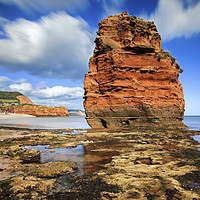 Buy canvas prints of Low Tide at Ladram Bay by Andrew Ray