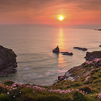Buy canvas prints of Thrift at Sunset (Bedruthan Steps)  by Andrew Ray