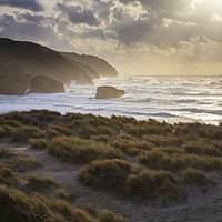 Buy canvas prints of Dunes View (Perranporth) by Andrew Ray