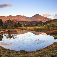 Buy canvas prints of Morning Light (Kelly Hall Tarn) by Andrew Ray