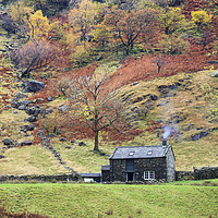 Buy canvas prints of Alisongrass Hoghouse by Andrew Ray