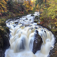 Buy canvas prints of River Braan at the Hermitage by Andrew Ray