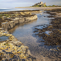 Buy canvas prints of Bamburgh Ledges by Andrew Ray