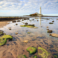 Buy canvas prints of St Mary's Lighthouse by Andrew Ray