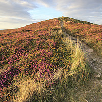 Buy canvas prints of Path to St Agnes Beacon   by Andrew Ray