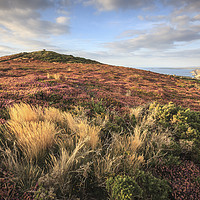 Buy canvas prints of St Agnes Beacon  by Andrew Ray