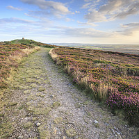Buy canvas prints of St Agnes Beacon View   by Andrew Ray