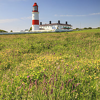 Buy canvas prints of Souter Lighthouse by Andrew Ray