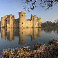 Buy canvas prints of Tree's at Bodiam Castle by Andrew Ray