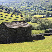 Buy canvas prints of Swaledale Barns by Andrew Ray