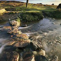 Buy canvas prints of Stream at Windy Post (Dartmoor) by Andrew Ray
