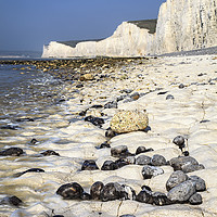 Buy canvas prints of Rocky Shore (Seven Sisters) by Andrew Ray
