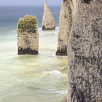 Buy canvas prints of The Pinnacles (Dorset) by Andrew Ray