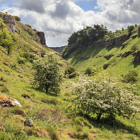 Buy canvas prints of Spring in Lathkill Dale by Andrew Ray