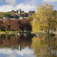 Buy canvas prints of Spring at Helston Boating Lake by Andrew Ray