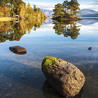 Buy canvas prints of Reflections at Abbot's Bay (Derwentwater) by Andrew Ray