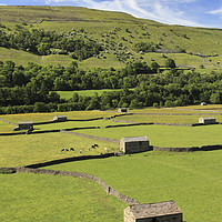 Buy canvas prints of Gunnerside Barns by Andrew Ray