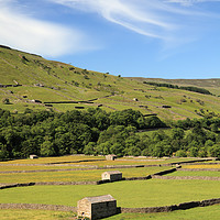 Buy canvas prints of Gunnerside Meadows by Andrew Ray
